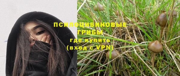 дмт Нягань