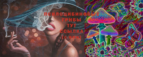 героин Няндома