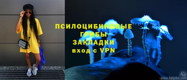 дмт Нягань