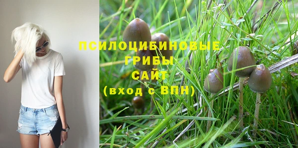 дмт Нягань