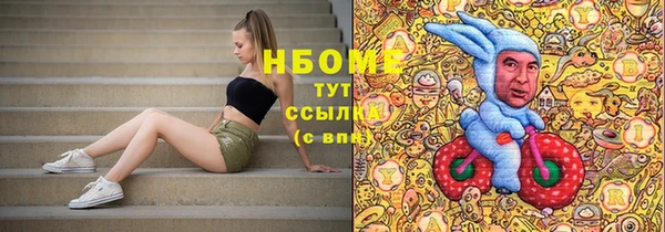 шишки Осинники