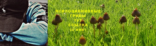 бошки Болхов