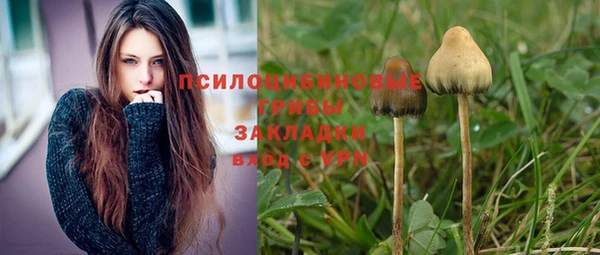 героин Няндома