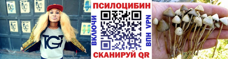 купить наркоту  Богородицк  kraken онион  Псилоцибиновые грибы Cubensis 