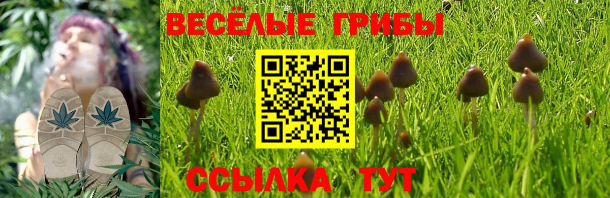 Псилоцибиновые грибы MAGIC MUSHROOMS Богородицк