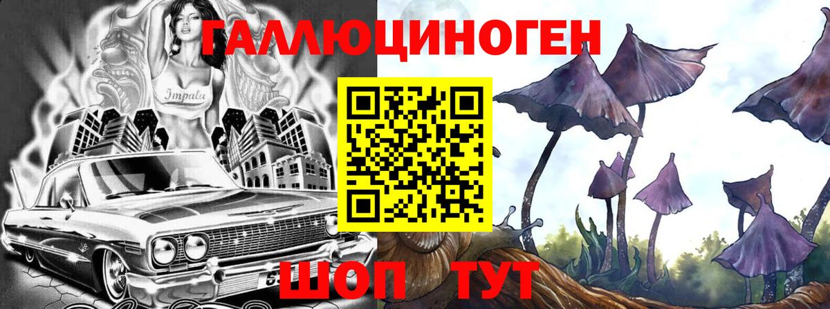 Псилоцибиновые грибы мицелий  как найти закладки  Богородицк 