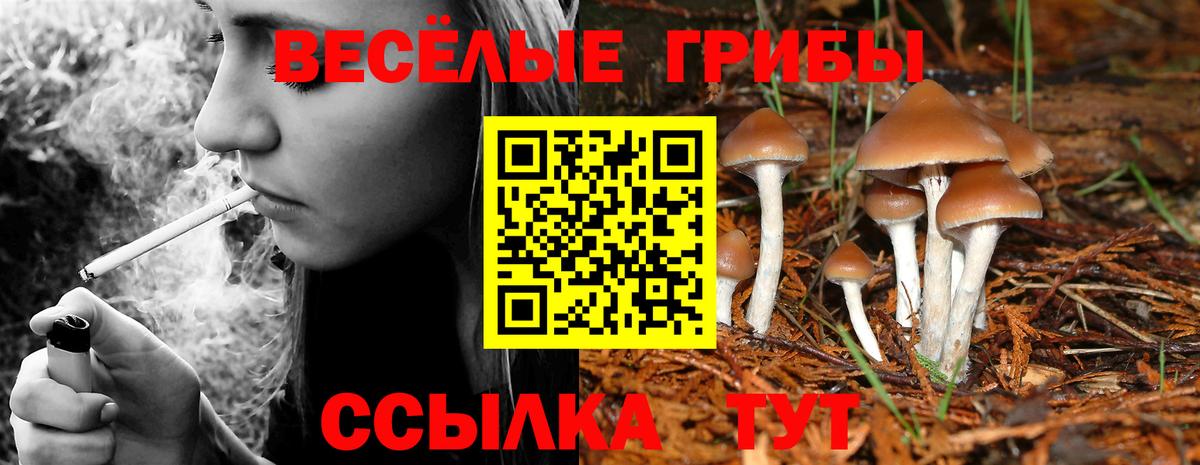 Псилоцибиновые грибы GOLDEN TEACHER Богородицк