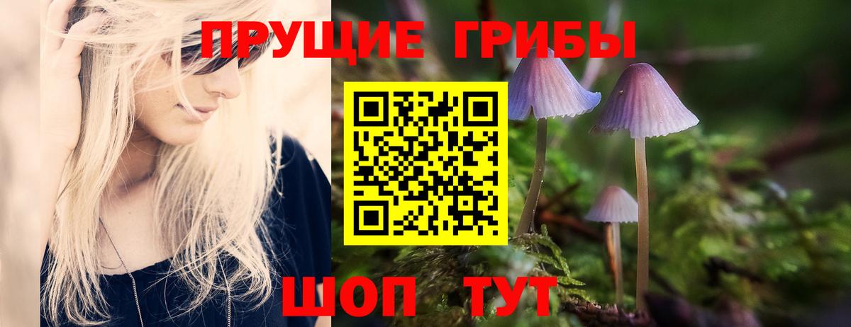 Богородицк  Псилоцибиновые грибы Magic Shrooms  Вход с VPN 