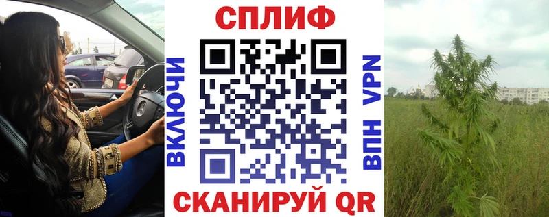 Шишки марихуана семена MEGA зеркало Богородицк дарнет шоп